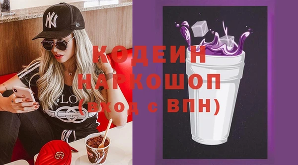прущие грибы Бородино