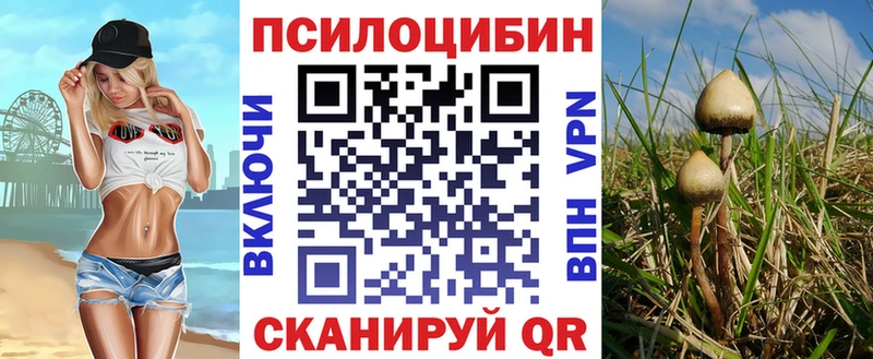 Псилоцибиновые грибы мухоморы KRAKEN онион Ворсма
